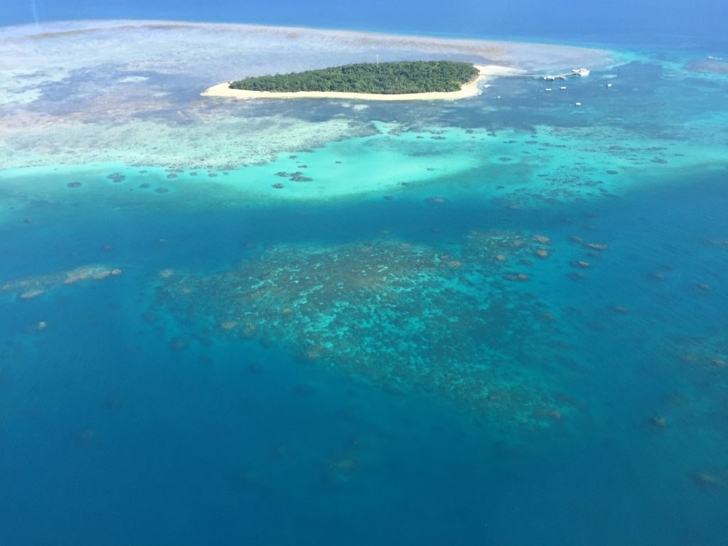 Vol au-dessus de la Grande Barrière de Corail depuis Port Douglas