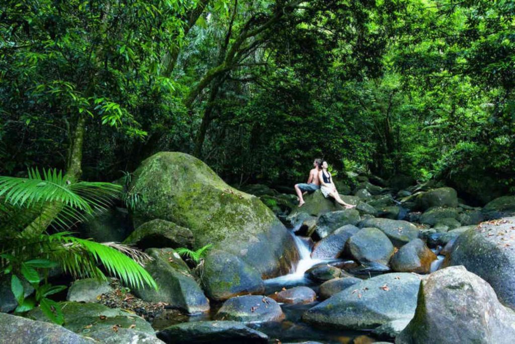 Gorge de Mossman, excursion depuis Port Douglas