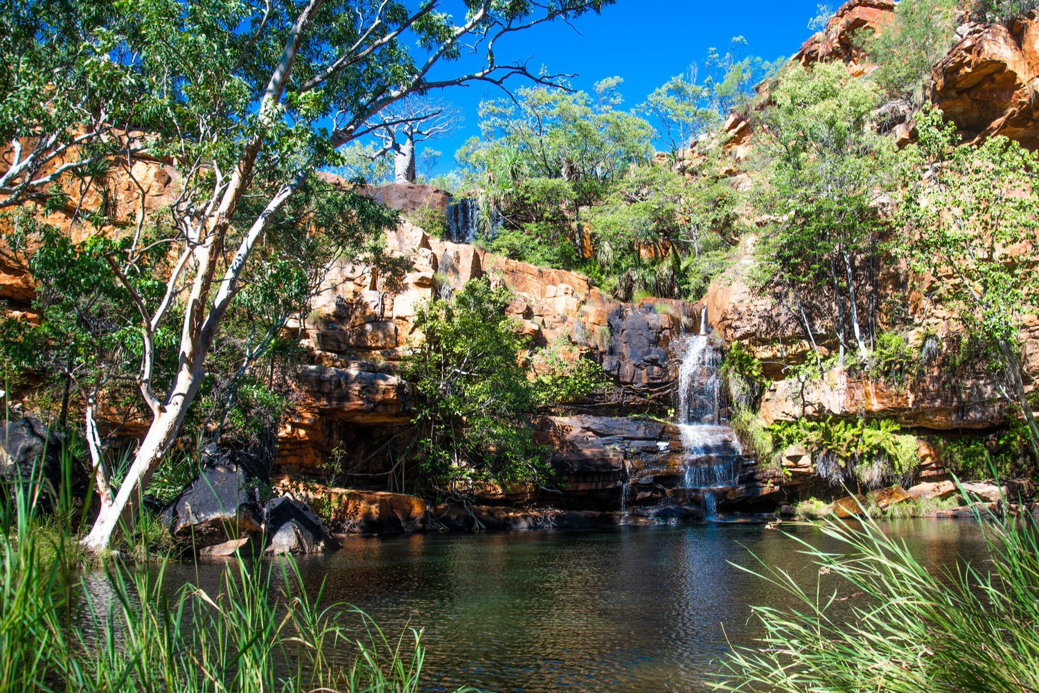 Galvans Gorge kimberley