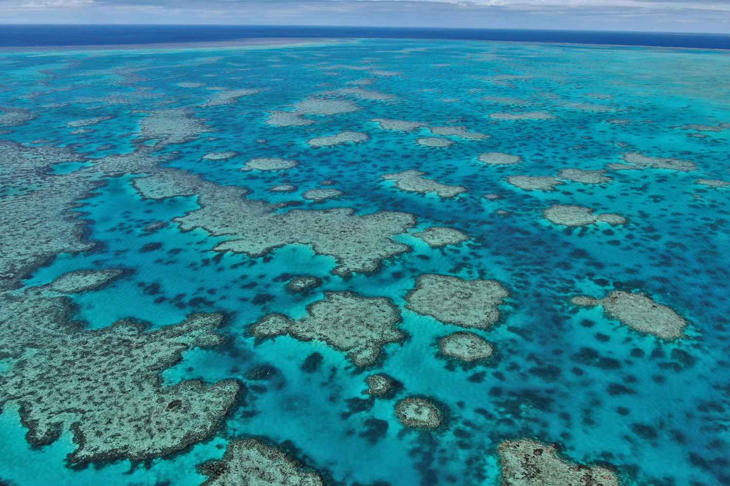 Grande barriere de corail