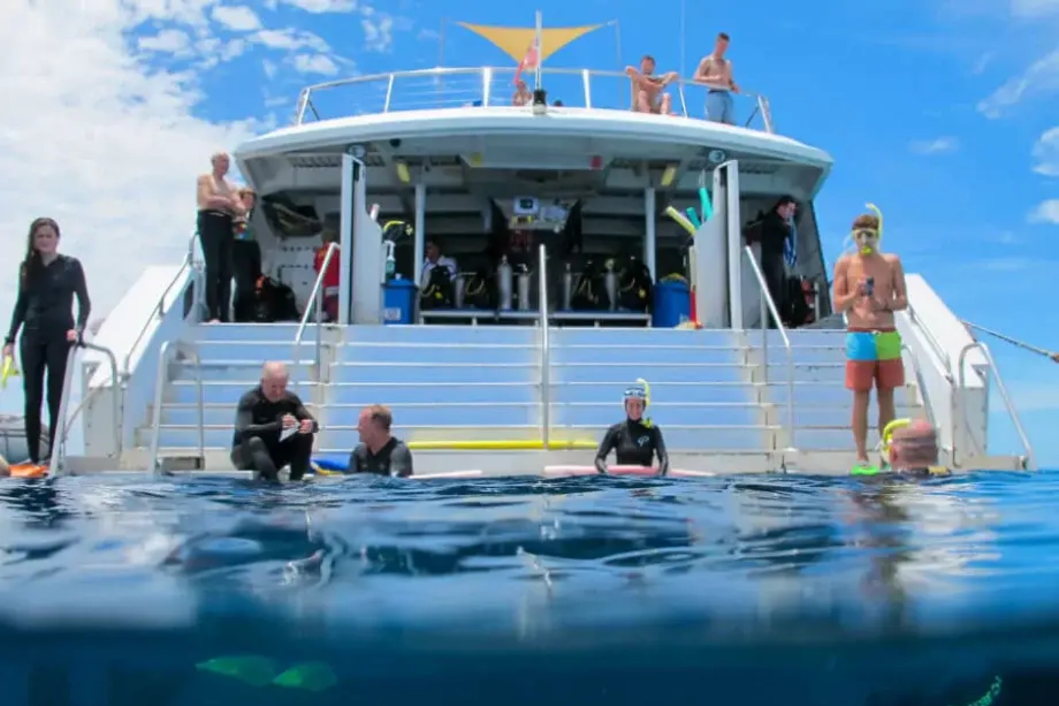 Silverswift snorkeling tour