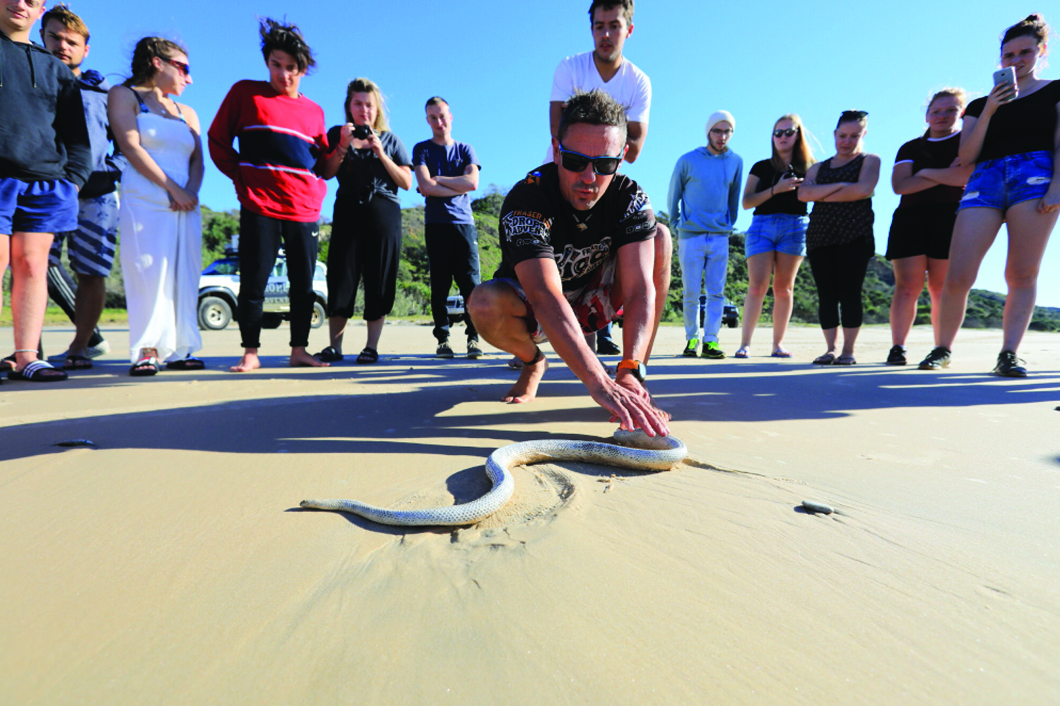 serpent fraser australie