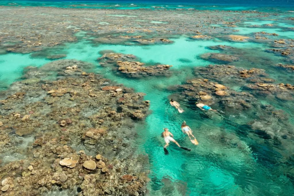 Snorkeling dans les récifs de la Grande Barrière de Corail depuis Port Douglas