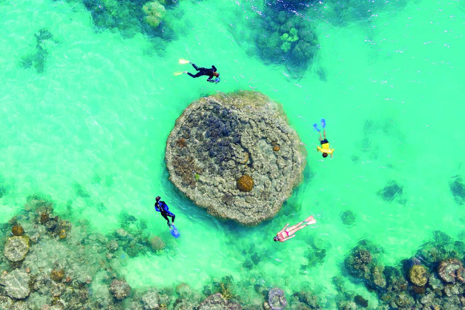 snorkeling whitsunday tour